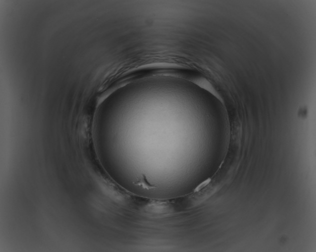 X0000093590280200710221529