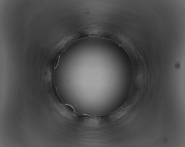 X0000093590282200710221529