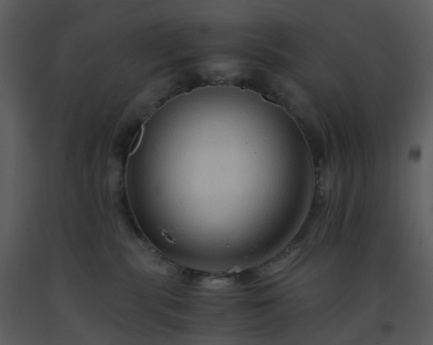 X0000093590283200710221529