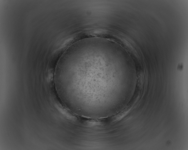 X0000093590284200710221529