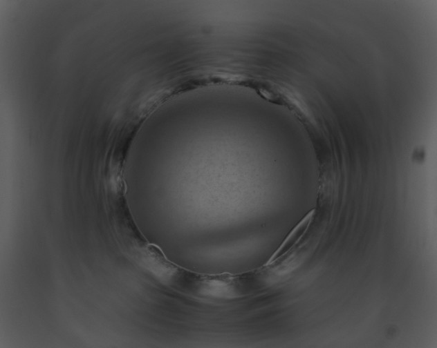 X0000093590285200710221529