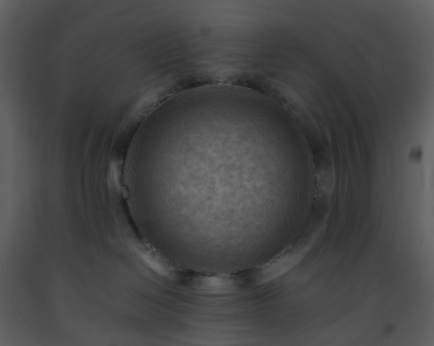 X0000093590286200710221529