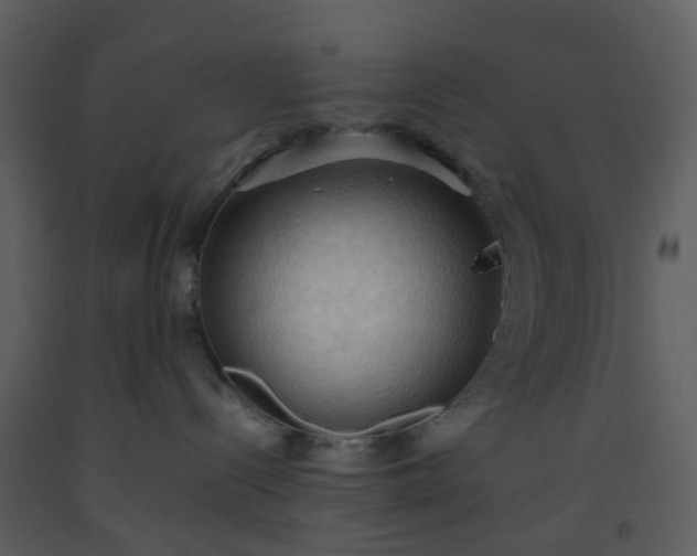 X0000093590288200710221529
