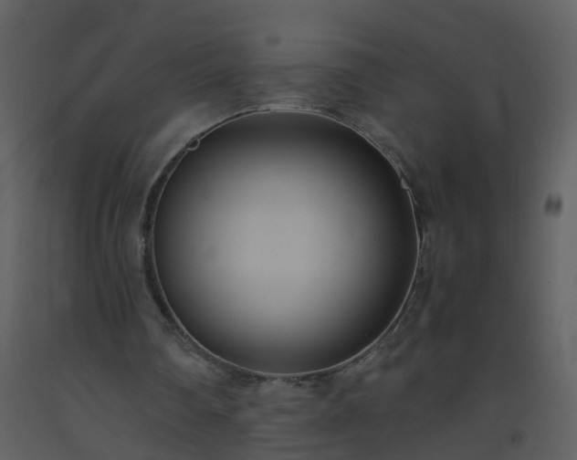 X0000093590290200710221529