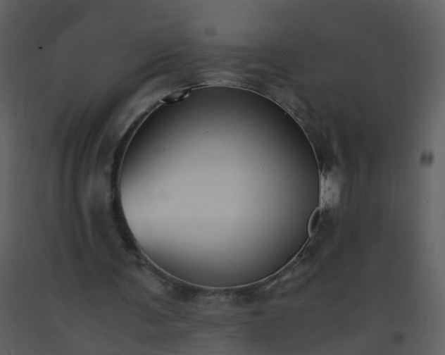 X0000093590291200710221529