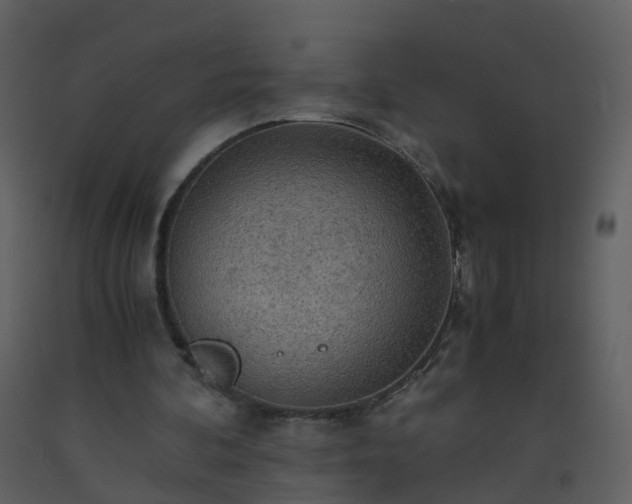 X0000093590292200710221529