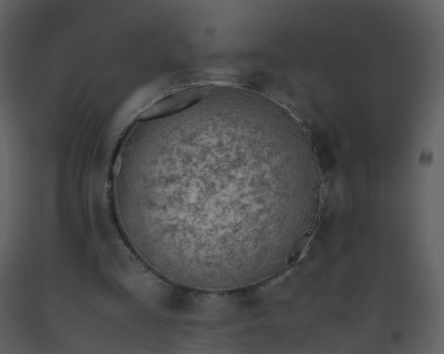 X0000093590293200710221529