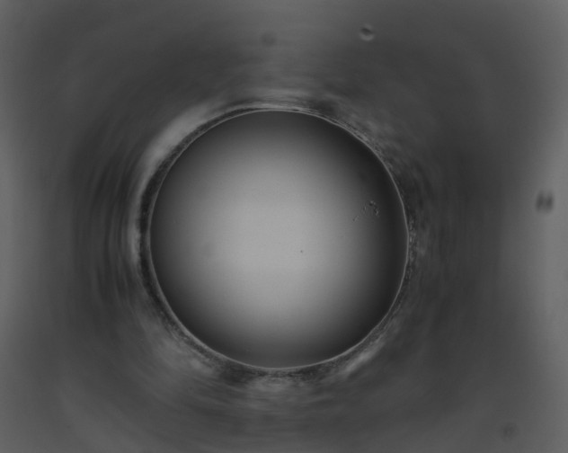 X0000093590294200710221529