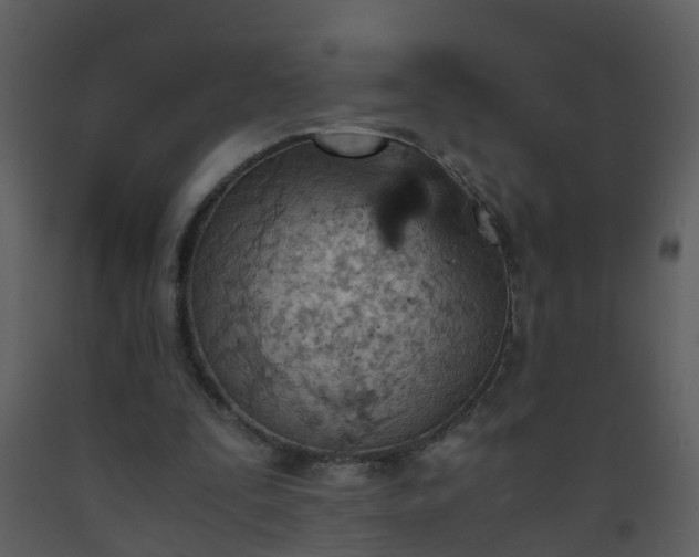 X0000093590295200710221529