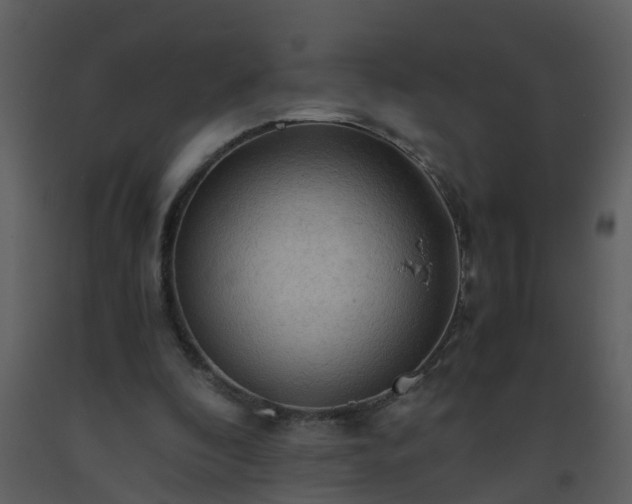 X0000093590296200710221529