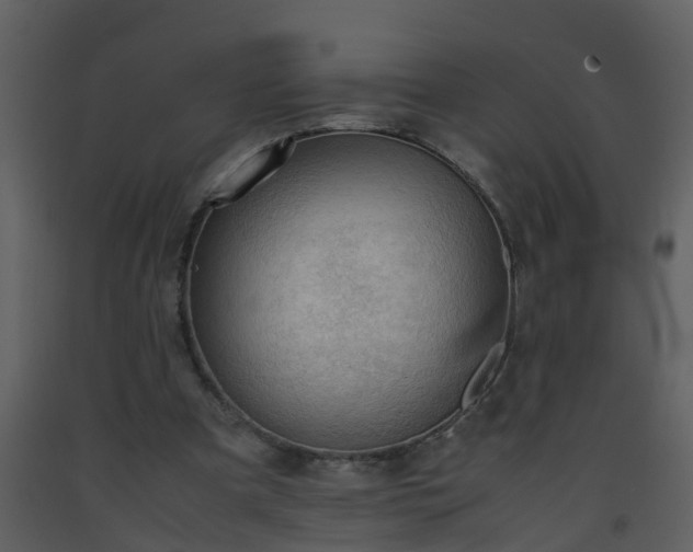 X0000093590297200710221529