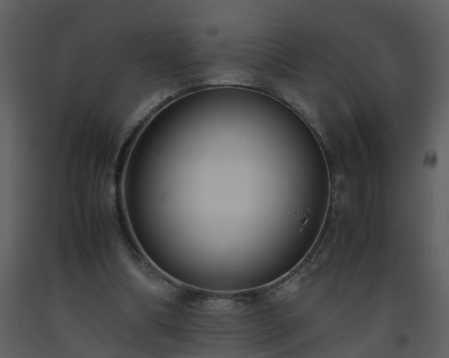 X0000093590298200710221529