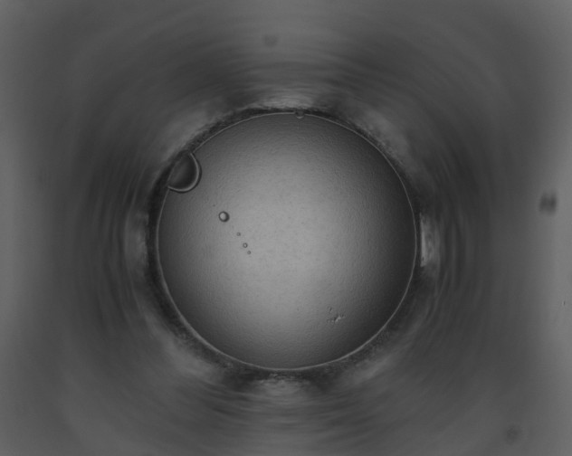 X0000093590300200710221529