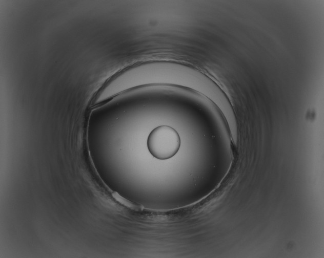 X0000093590301200710221529