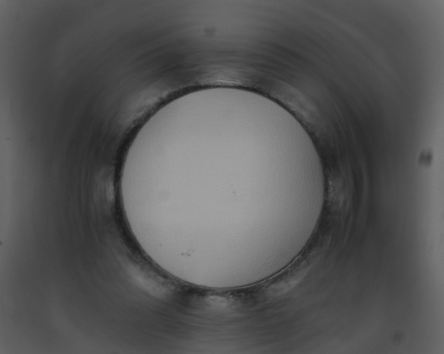X0000093590302200710221529