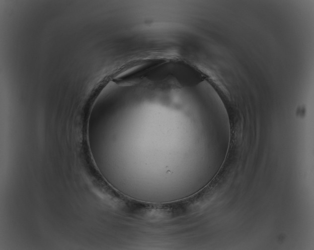 X0000093590303200710221529