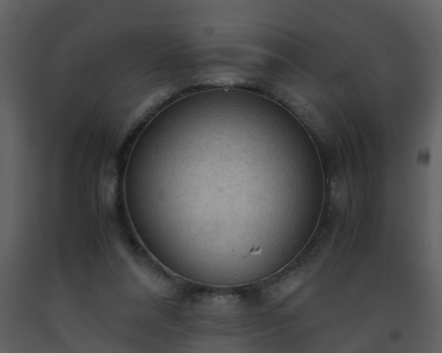 X0000093590304200710221528