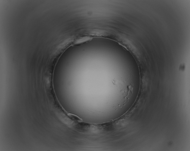 X0000093590305200710221528