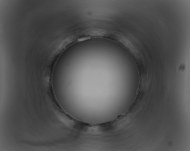 X0000093590309200710221528