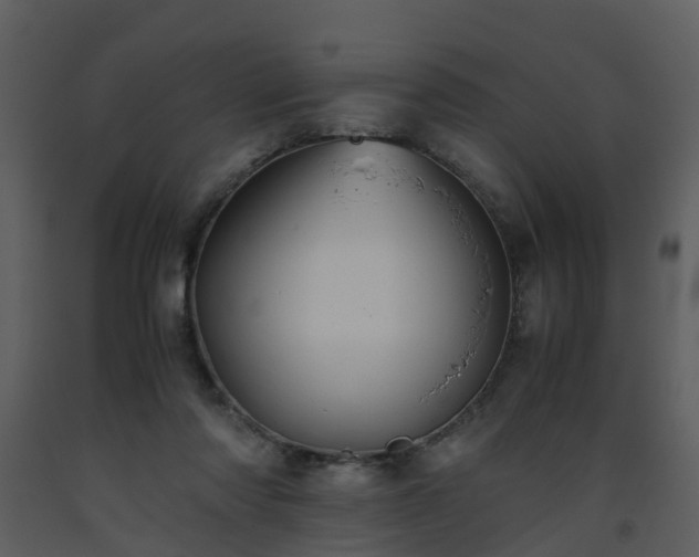 X0000093590310200710221528