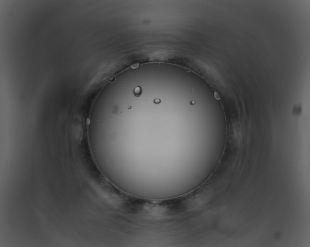 X0000093590311200710221528