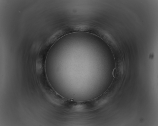 X0000093590312200710221528