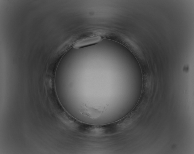 X0000093590313200710221528