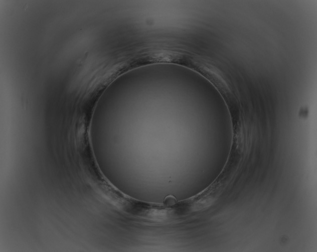 X0000093590314200710221528