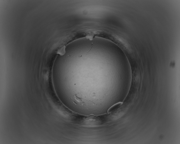 X0000093590315200710221528