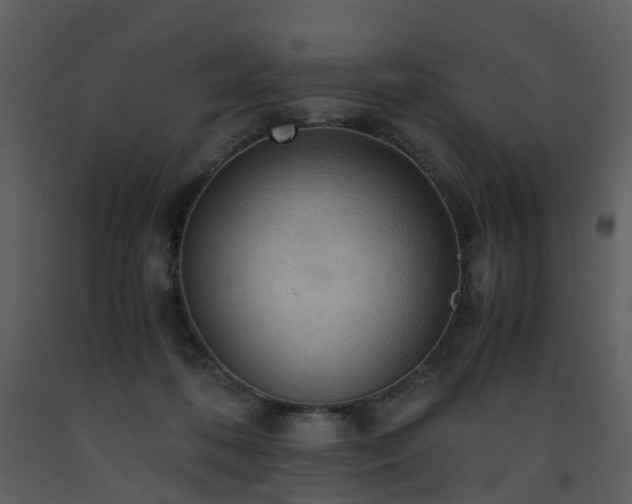 X0000093590316200710221528