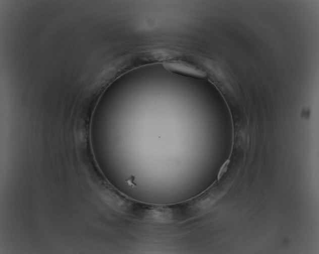 X0000093590317200710221528