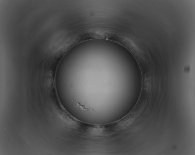 X0000093590318200710221528