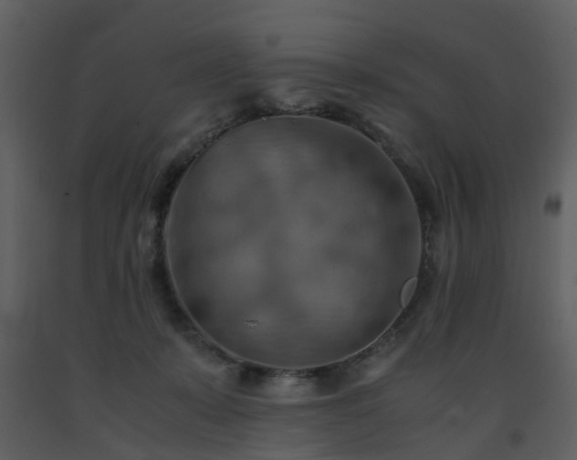 X0000093590319200710221528