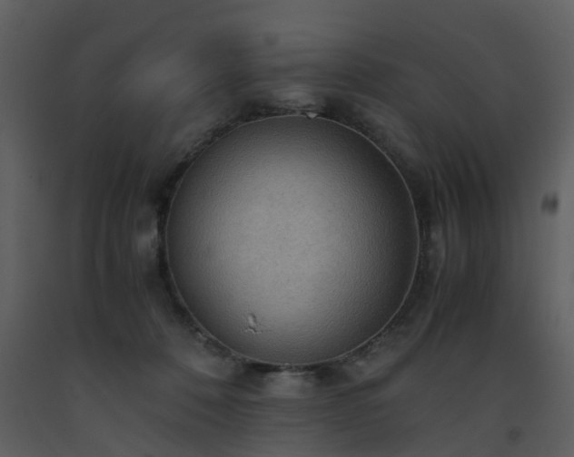 X0000093590320200710221528