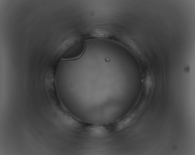 X0000093590322200710221528