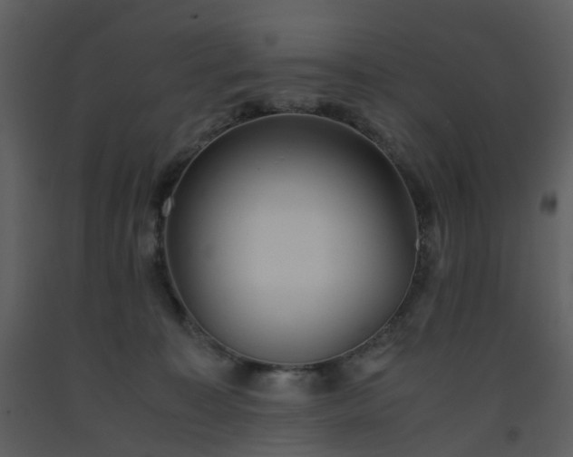 X0000093590323200710221528