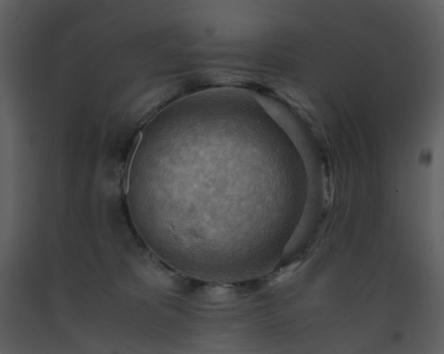 X0000093590325200710221528