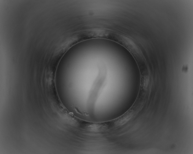 X0000093590326200710221528