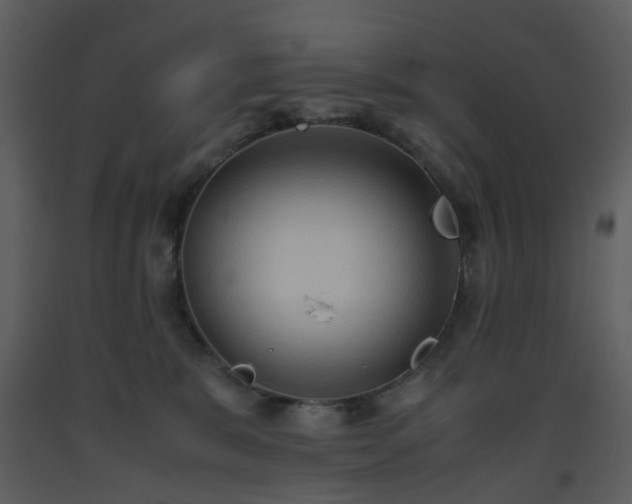 X0000093590327200710221528