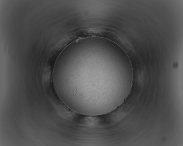 X0000093590328200710221528
