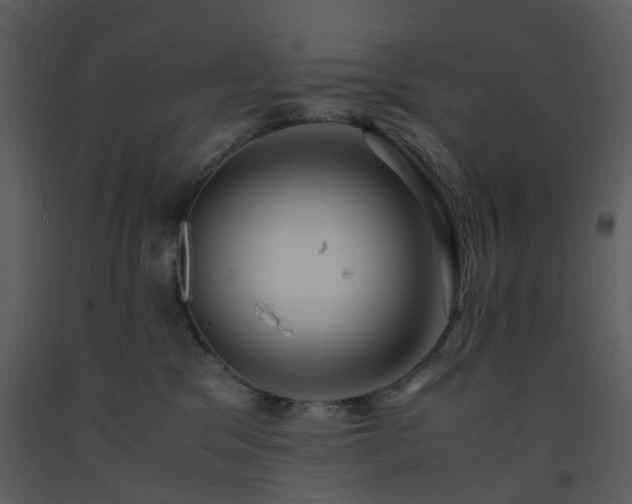 X0000093590329200710221528
