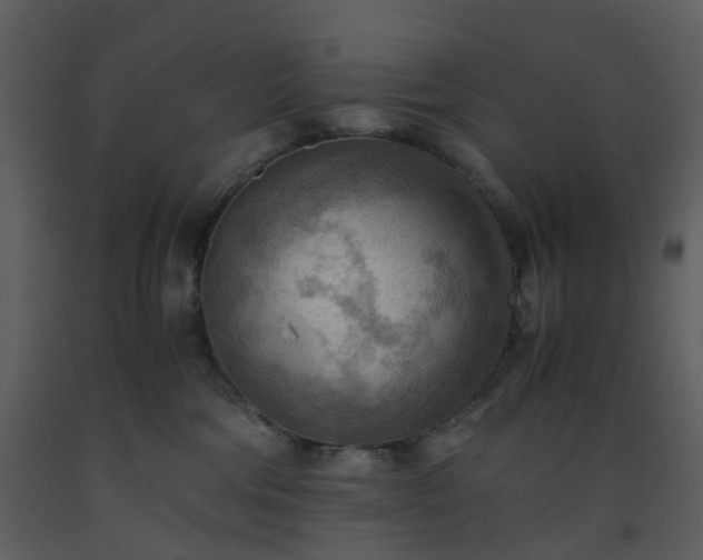 X0000093590330200710221528