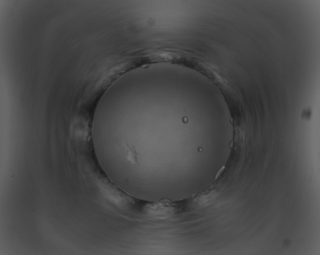 X0000093590331200710221528