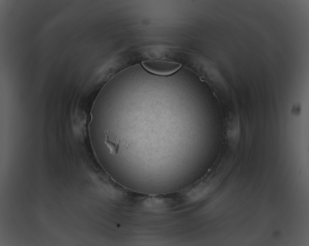 X0000093590332200710221528