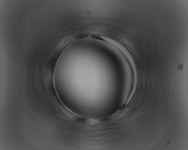 X0000093590333200710221528