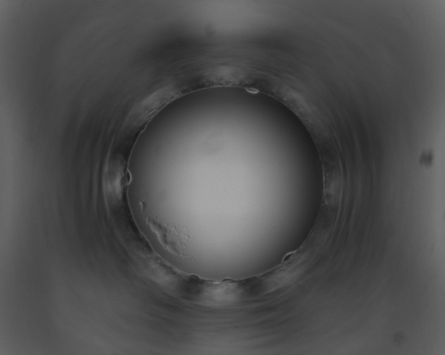 X0000093590334200710221528