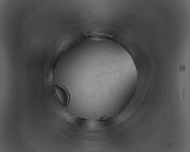 X0000093590336200710221528