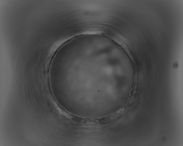 X0000093590337200710221527
