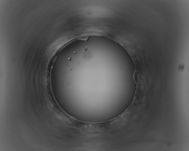 X0000093590338200710221527