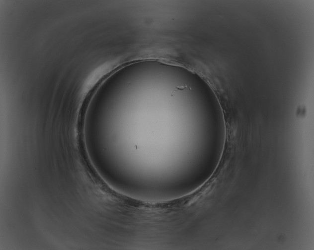 X0000093590340200710221527